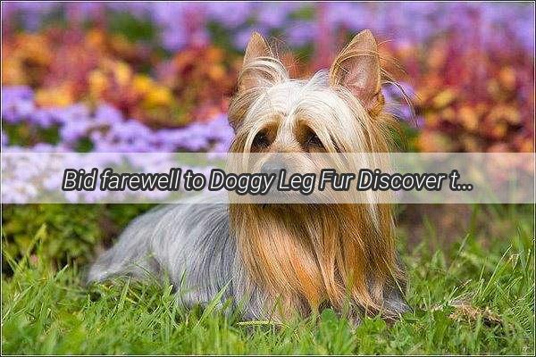 Bid farewell to Doggy Leg Fur Discover the Secret to a FluffFree Canine Limb